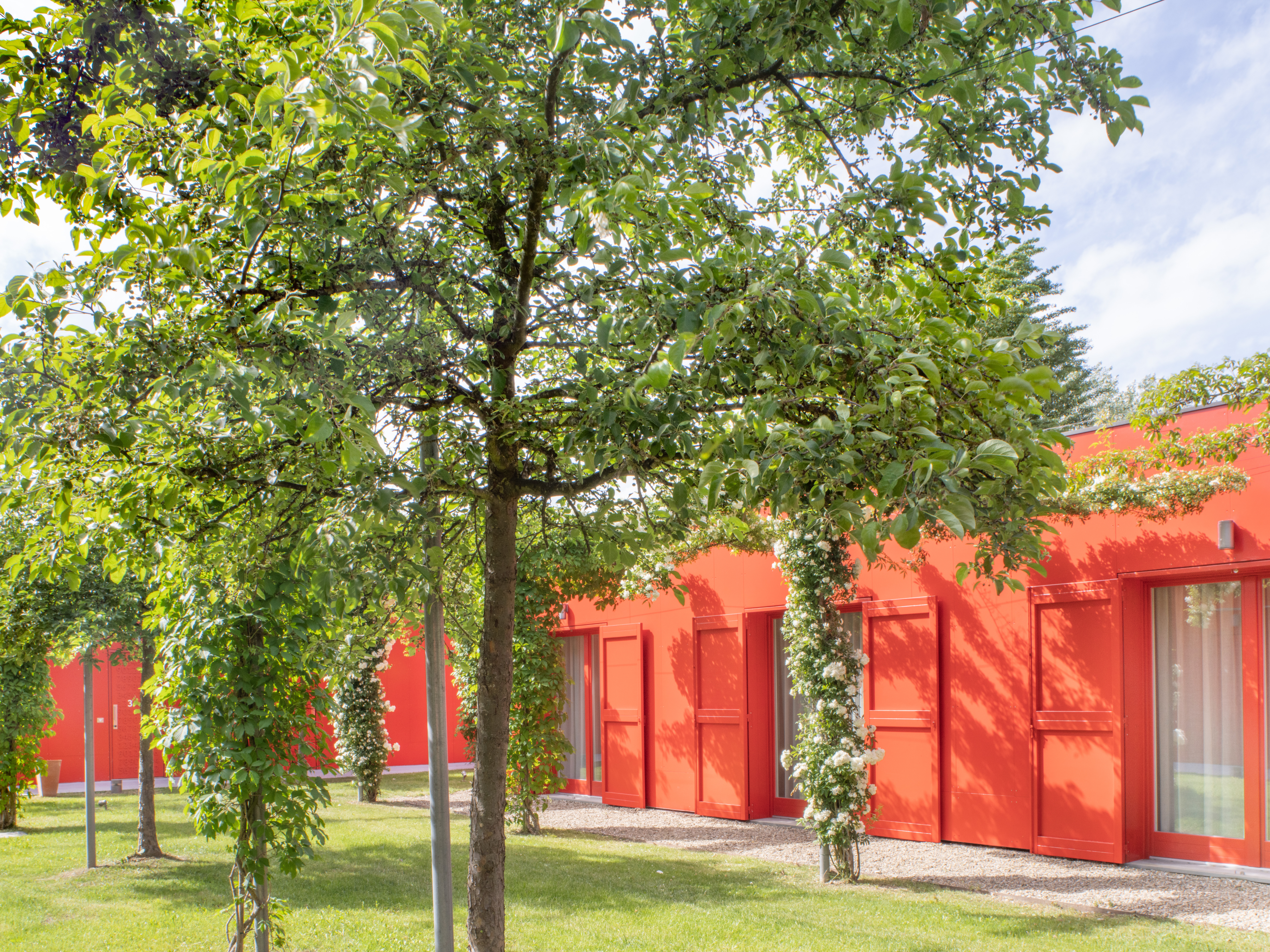 campus0.jpg (21.47 MB)